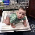 The Last of the Firsts? Today I’m contemplating my youngest son. He is 11 months old today, so you know what that means – 1st Birthday Planning Time! Clearly, a better mom would have planned this 6 months ago but 3 kids, a husband, 2 blogs and a dog have been keeping me busy. I...