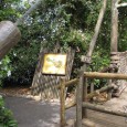 Exploring Fort Langhorn – Part 2 of Tom Sawyer Island’s Pictorial Review! When last we left our adventure through Tom Sawyer Island beyond the Rivers of America in Magic Kingdom’s Frontierland, we were about to cross this bridge to another part of the island…