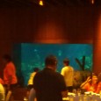 Inside the VIP Lounge at The Living Seas Last month, most of the Walt Disney World Moms Panel joined together for an informal reunion, just because we love an excuse to get together and what better place to do that than the Walt Disney World Resort, right? Our Pink Princess was kind enough to have a luncheon put...