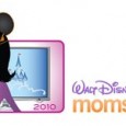 The Walt Disney World Moms Panel – One Year Later A little over a year ago, I was floating in a surreal dream of having actually achieved my dream of being selected for the Walt Disney World Moms Panel. It’s hard to imagine a time before my Moms Panel journey began…but I thought I’d try to reflect back on it...