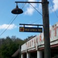 Disney’s Wild Africa Trek Fast Facts & Info Disney’s Animal Kingdom has always had a special place in my heart. I was there opening day and have had many a discussion with those that dismiss it as “boring” or having “nothing to do there”. To me, Animal Kingdom has always been a magical place of discovery and the...