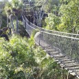 VIDEO: Disney’s Wild Africa Trek-A Passage to Africa Correspondent Nicole Siscaretti rounds out her coverage for us with a personal tour of the Wild Africa Trek at Disney’s Animal Kingdom. As you may recall, I was able to preview this trek before it opened to the general public, and shared the Wild Africa Trek Facts and Figures. It...
