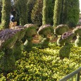 Jud’s Disney Picture of the Day: MELODY IN GREEN Coming soon to a theme park near… ME! Flower and Garden Festival 2011 opens Wednesday!
