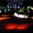 Jud’s Disney Picture of the Day: OT NGS FE