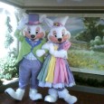 Happy Easter to all!! Hope you have a wonderful day no matter what you celebrate! Thanks to @JEFF_EMT for sharing this fun photo!