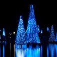 VIDEO: SeaWorld Orlando’s Spectacular Sea of Trees SeaWorld Orlando recently invited my family out to experience their holiday happenings. I was completely blown away and impressed by what SeaWorld had to offer. I thought maybe the Shamu show would have a Christmas theme to it, but SeaWorld was completely transformed into a winter wonderland of lights, music,...