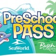 SeaWorld and Busch Gardens PreSchool Pass-FL Kids 5 and Under FREE! CHILDREN AGES 5 AND YOUNGER CAN EXPERIENCE FAMILY ADVENTURE FOR FREE AT BUSCH GARDENS & SEAWORLD The New SeaWorld and Busch Gardens Preschool Pass Offers Kids Unlimited Admission With No Blackout Dates Through 2012 The folks at SeaWorld and Busch Gardens just sent over this press release...