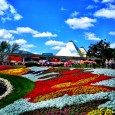 Photo Highlights of the Epcot Flower and Garden Festival The Epcot International Flower and Garden Festival has been a family favorite for years, so of course this year was no different. Below are some of my favorite flowers and topiaries. I’ve left some displays out so you can discover them on your own when you visit. If you have...