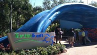Photos and Facts on SeaWorld Orlando’s New Turtle Trek Experience During the non-stop events of last weekend, I had quite a few Zannaland team members covering things in the Orlando area for me. Scott Otis, friend and conservationist, agreed to cover the grand opening of SeaWorld Orlando‘s newest attraction – Turtle Trek. Before we get started, a bit of news...
