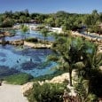 10 Reasons You MUST Visit SeaWorld’s Discovery Cove I first visited Discovery Cove when they were building their Grand Reef area over a year ago. Before that, I must admit, I thought it was just a place to swim with dolphins and that was it. BOY, was I mistaken. Even before the Grand Reef expansion, there was so...