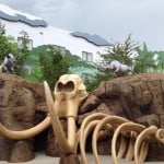 Disney's Art of Animation Resort Lion King Section