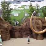 Disney's Art of Animation Resort Lion King Section
