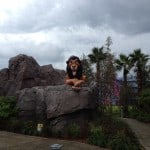 Disney's Art of Animation Resort Lion King Section