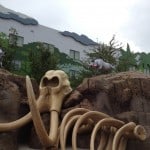 Disney's Art of Animation Resort Lion King Section