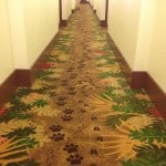 Disney's Art of Animation Resort Lion King Rooms