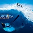 New Video Takes Us Behind The Scenes At SeaWorld’s Antarctica SeaWorld Orlando is working on an amazing new attraction called Antarctica: Empire of the Penguin, opening in 2013. If you haven’t seen the construction in person or heard what it’s all about, SeaWorld has released a series of YouTube videos with behind-the-scenes info on Antarctica. The second Behind The Freeze...