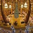Behind the Scenes: Wilderness Lodge Christmas Comes to Life Overnight Last evening I stumbled upon the serendipitous event of Disney’s Wilderness Lodge Christmas tree installation. I have never, in all of my years of visiting Walt Disney World, ever seen resort holiday decorations being put up, so it was fun to sit back and watch this spectacle. Of course, it’s...