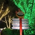 Busch Gardens Christmas Town Delivers Holiday Fun There are so many wonderful holiday events at Central Florida theme parks, and this year Busch Gardens Tampa is launching the biggest Christmas celebration ever. For the first time in the park’s 53-year history, visitors to Christmas Town will experience all-new evening attractions, shows and shopping from 6 to 11...