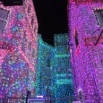 Walking around the corner at Disney’s Hollywood Studios onto New York Street and seeing the overwhelming amount of holiday lights displayed at the Osborne Family Spectacle of Dancing Lights is one of those must-do moments for me, that takes my breath away every year. If I could figure out a...