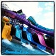 Aquatica Orlando celebrated its fifth birthday last weekend, which included a celebration for guests who were in attendance. In light of the theme, $5 merchandise specials were offered all day that included clothing, Aquatica-themed glasses, and more. There was a special birthday party held in the afternoon with amazing animal...