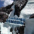 Waddle to the Bottom of the World at SeaWorld’s Antarctica:Empire of the Penguin After seeing commercials and promotions for the ride attached to SeaWorld Orlando’s newest attraction, Antarctica: Empire of the Penguin, I was quite excited to try out the new ride technology as well as visit the penguin habitat. I was unprepared for exactly how much theming has gone into this new...