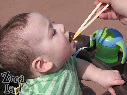 gchstix Baby G enjoying a taste of China at Epcot's International Food & Wine Festival!