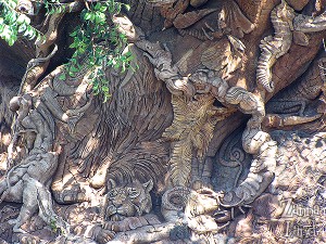 tree of life close up