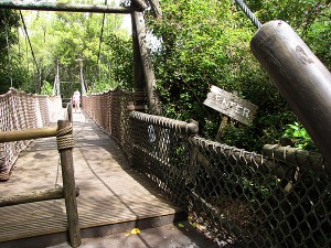 Tom Sawyer bridge