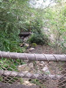 pathway in tom sawyers island