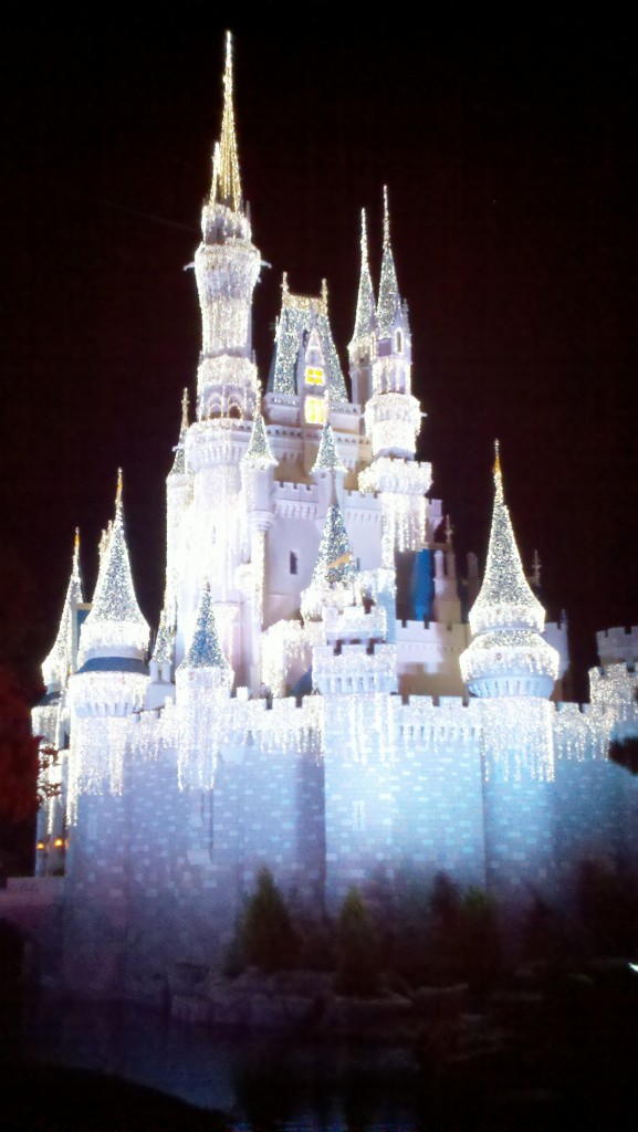 Cinderella Castle Dream Lights