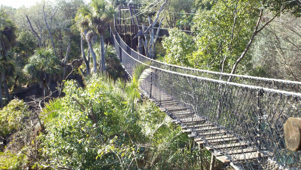 Wild Africa Trek rope bridge