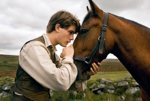 War Horse