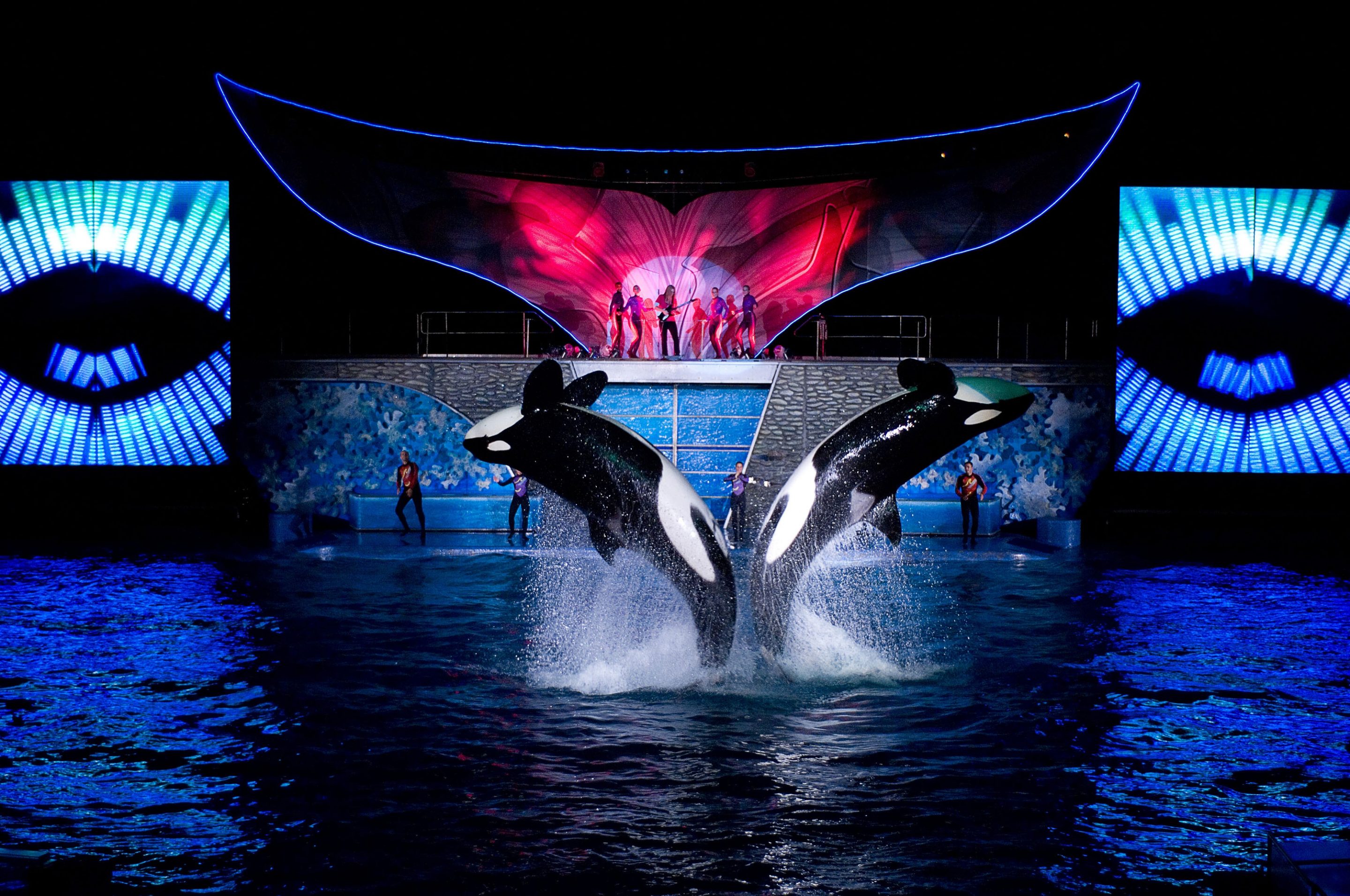 Summer Nights Arrive At SeaWorld Orlando ZANNALAND 