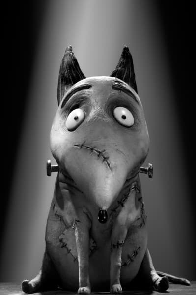 Frankenweenie,' Tim Burton's Homage to Horror Classics - The New York Times