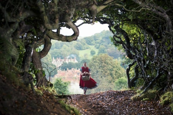 Into The Woods