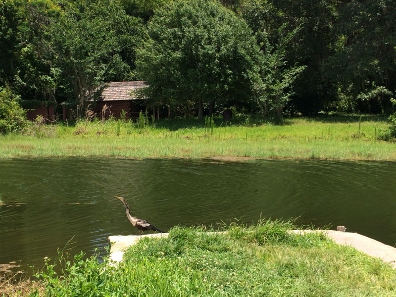 Fort Wilderness today