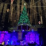 Gaylord Palms ICE! 2015