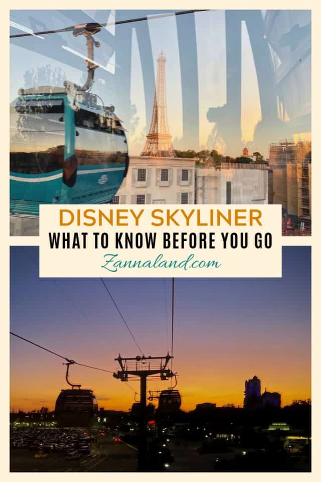 Disney Skyliner pin