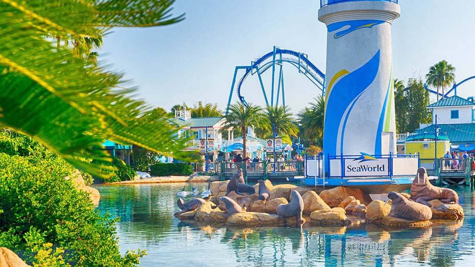 Florida Resident Staycation Offer At Seaworld Orlando Zannaland