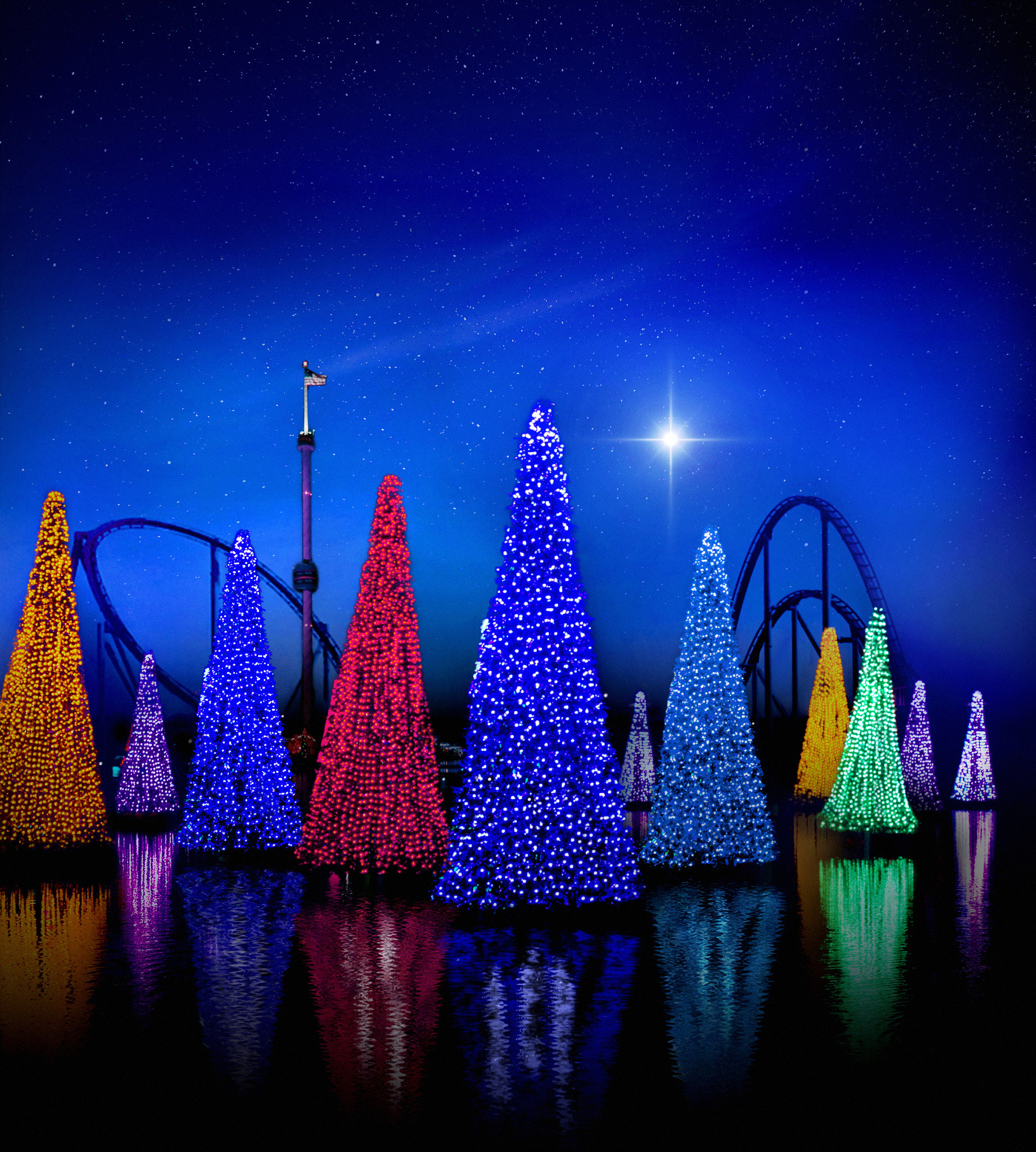 SeaWorld's Christmas Celebration – Seasonal Event