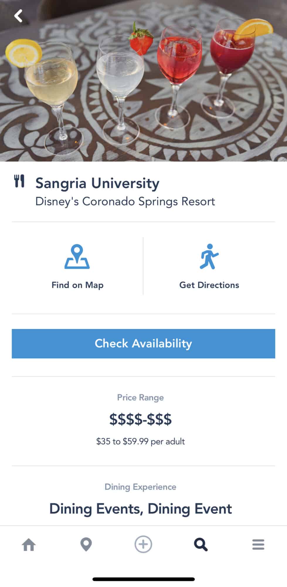 Sangria University My Disney Experience